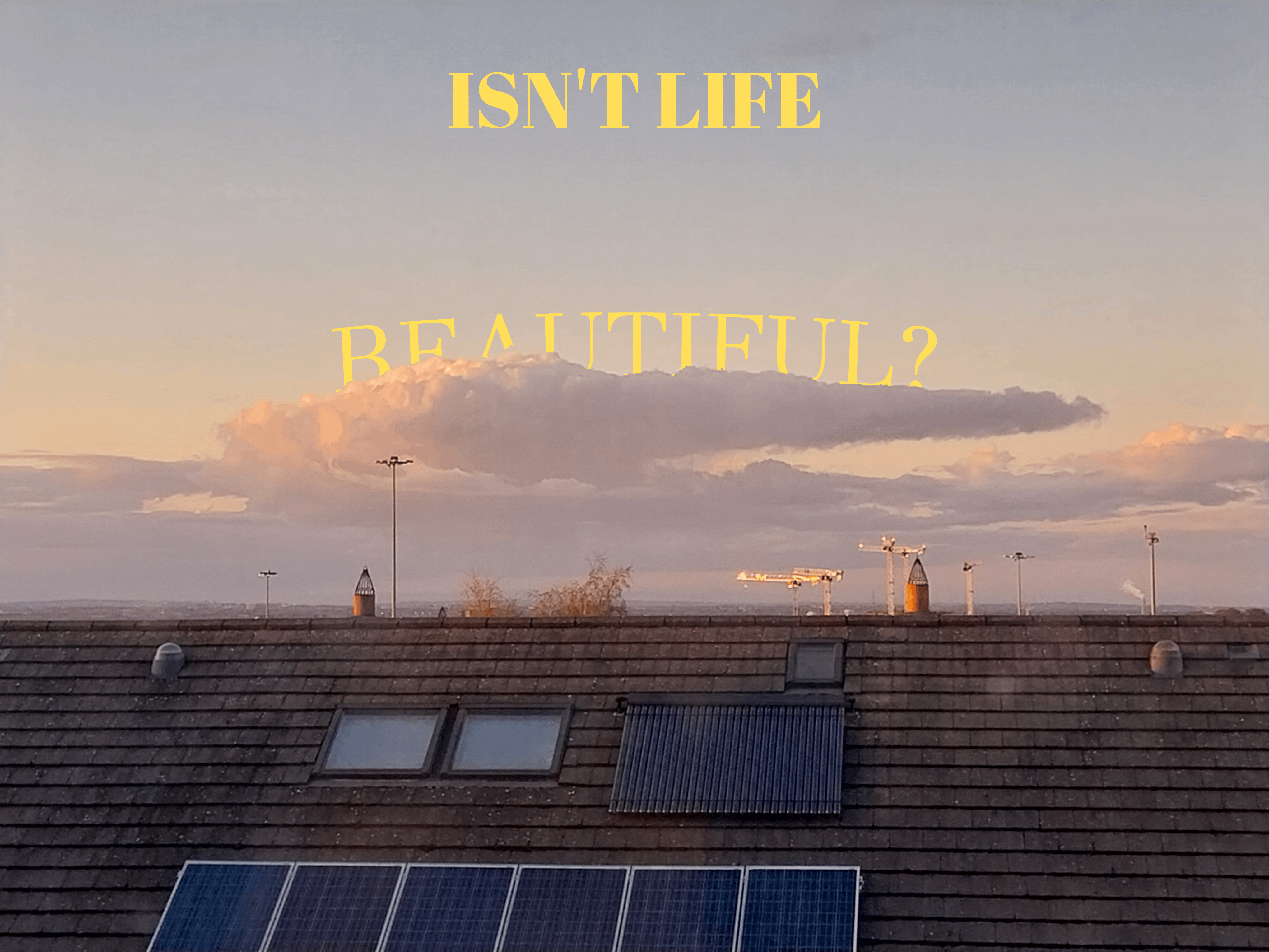 Isn't life beautiful?